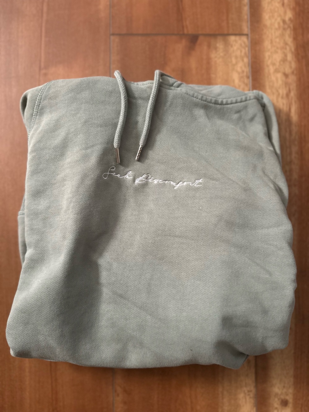 SEEK DISCOMFORT Sage Green Pullover Hoodie with Embroidered Tag